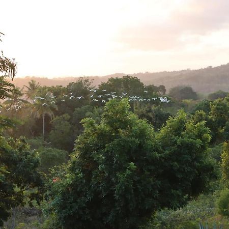Sumba Nautil Resort Deke Exteriér fotografie