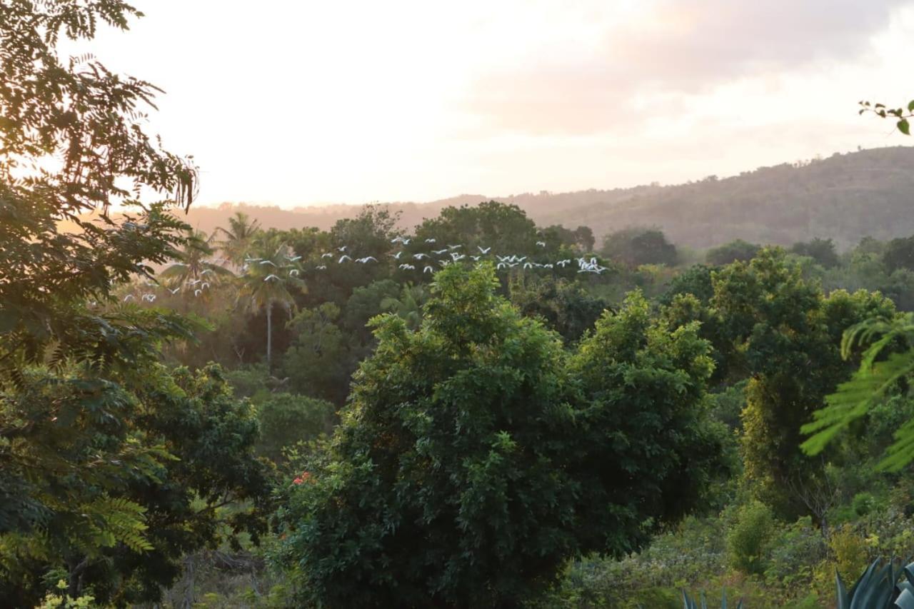 Sumba Nautil Resort Deke Exteriér fotografie